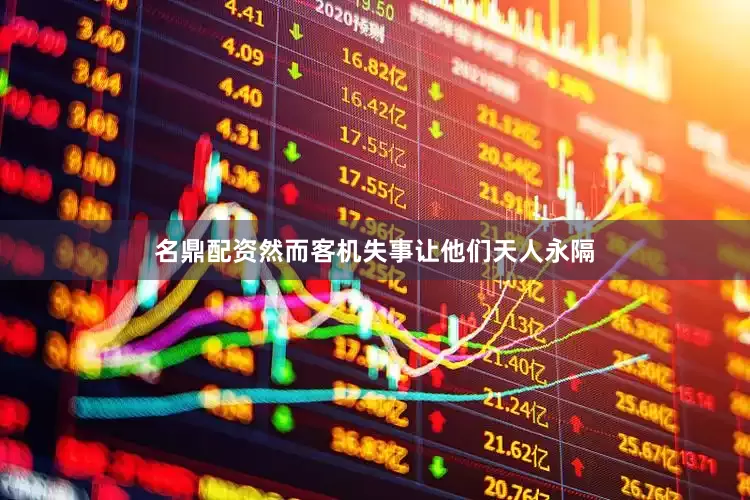 名鼎配资然而客机失事让他们天人永隔