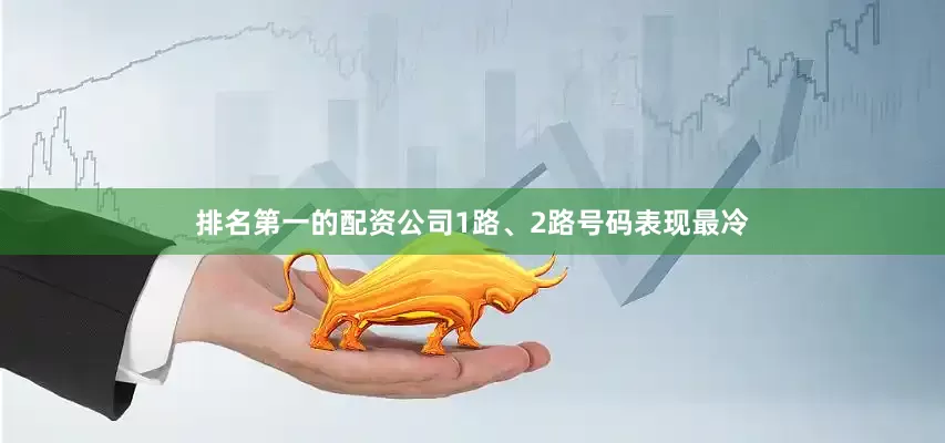 排名第一的配资公司1路、2路号码表现最冷