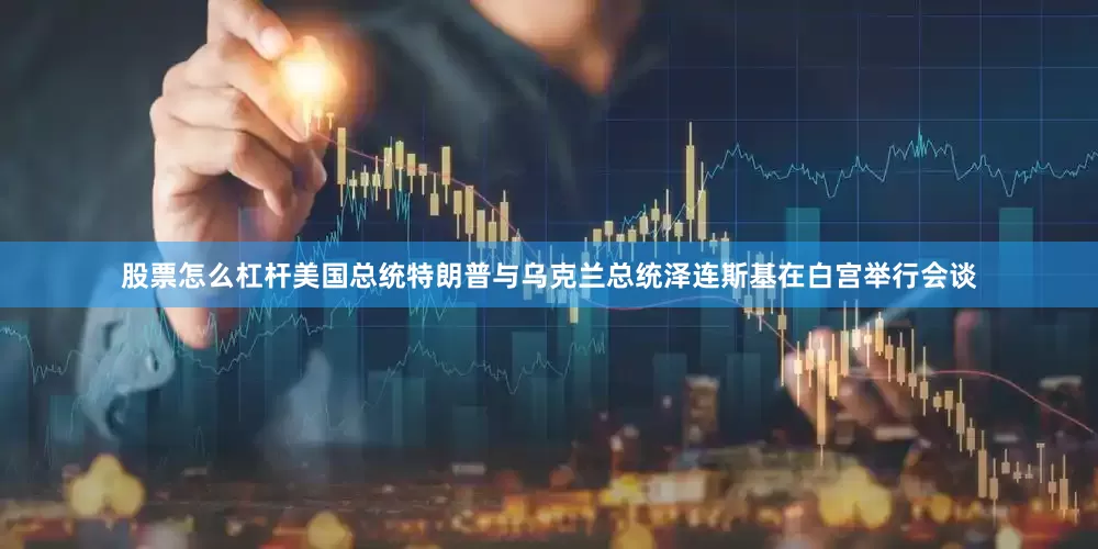 股票怎么杠杆美国总统特朗普与乌克兰总统泽连斯基在白宫举行会谈