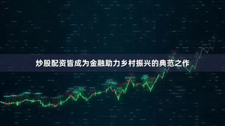 炒股配资皆成为金融助力乡村振兴的典范之作