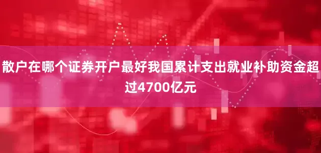 散户在哪个证券开户最好我国累计支出就业补助资金超过4700亿元