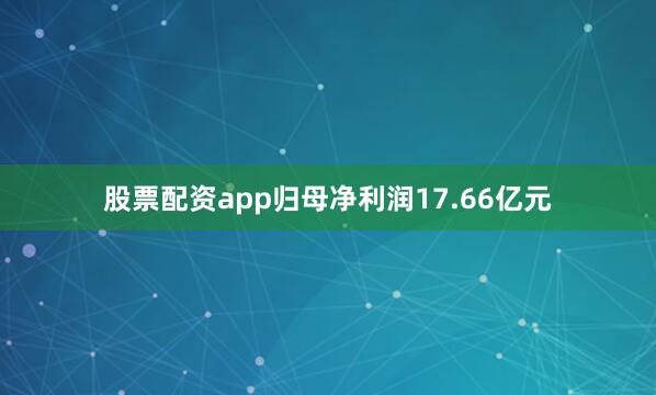 股票配资app归母净利润17.66亿元